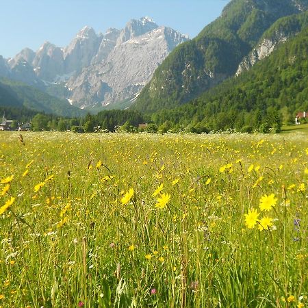 Affittacamere Krajnc Malborghetto Valbruna Exteriör bild